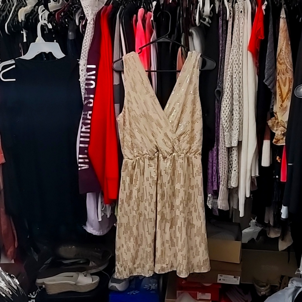 EXPRESS SEQUIN DRESS LG